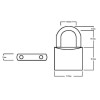 Squire LN3 Lion Brass Padlock 30mm