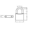 Squire LN4T Twin Pack Lion Brass Padlocks 5 Pin (2 x LN4KA)