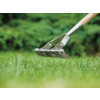 Kent & Stowe Stainless Steel Long Handled Scarifying Rake, FSC®